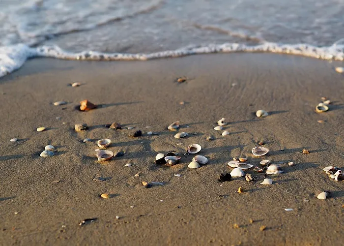 Appartamento Seaside - Poolside Getaway